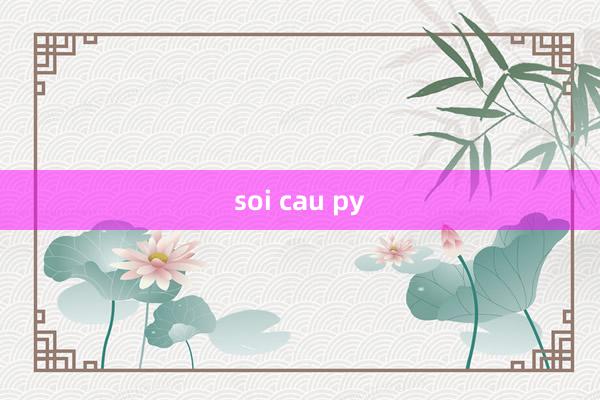 soi cau py