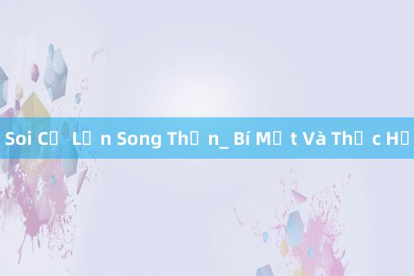 Soi Củ Lợn Song Thần_ Bí Mật Và Thực Hư