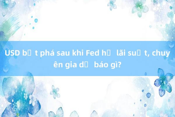 USD bứt phá sau khi Fed hạ lãi suất， chuyên gia dự báo gì?