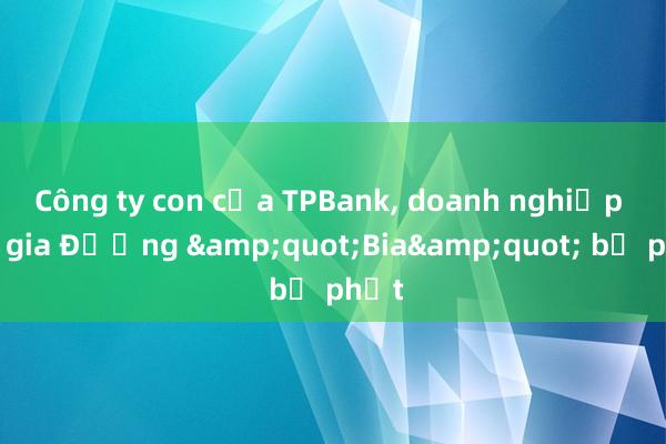 Công ty con của TPBank， doanh nghiệp đại gia Đường &quot;Bia&quot; bị phạt