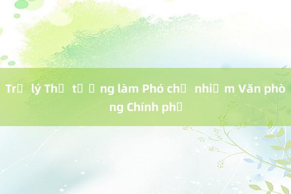 Trợ lý Thủ tướng làm Phó chủ nhiệm Văn phòng Chính phủ